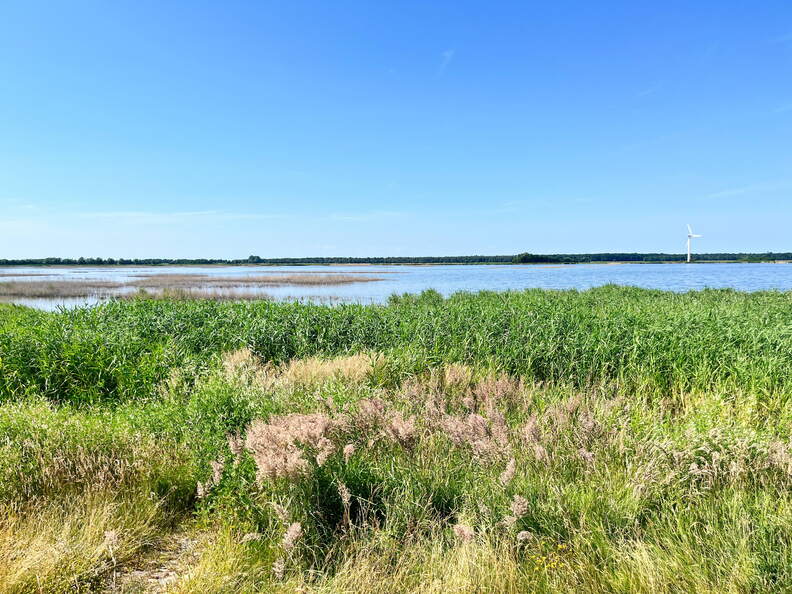 24-06-29 15-27-54 0015